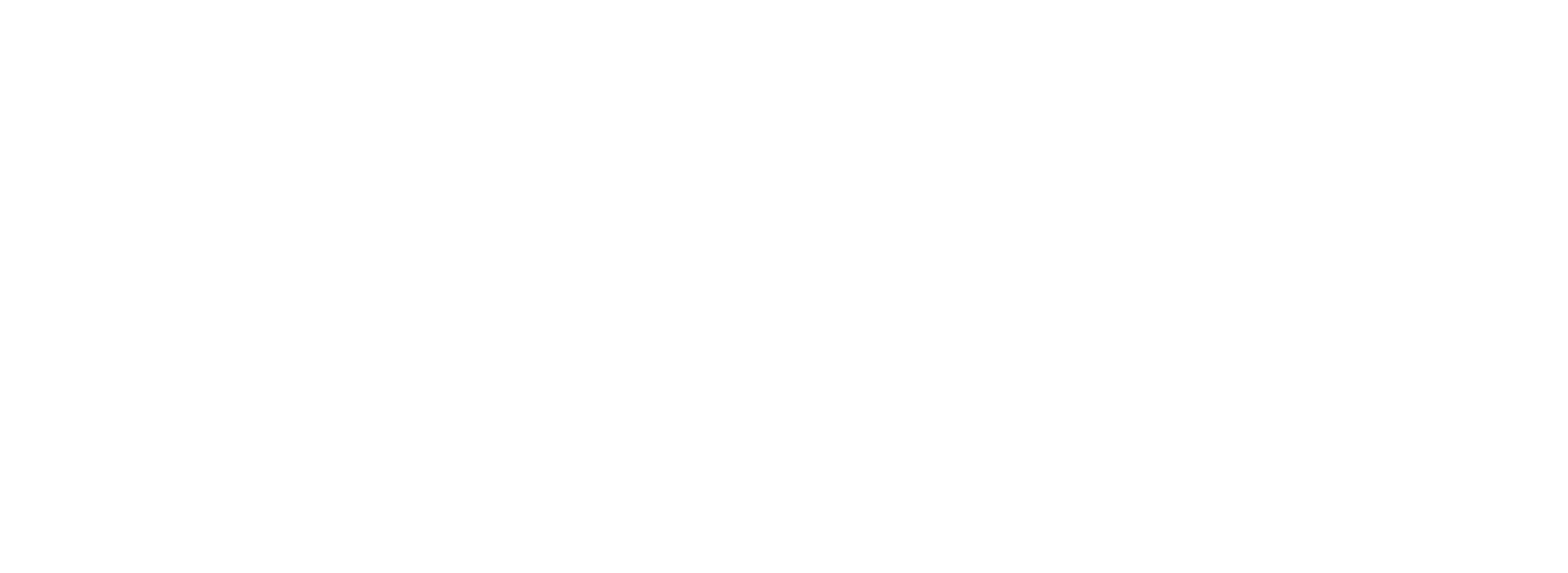 Hollow Knight title